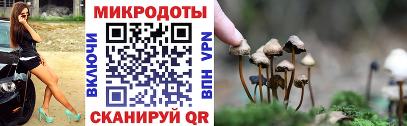Галлюциногенные грибы Psilocybine cubensis  купить  цена  Высоковск 
